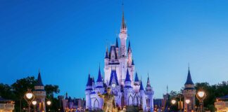 wdw2