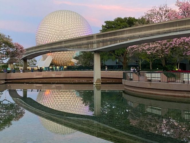 Which Disney World Park Should You Visit? 4