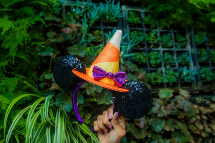 When are the fall decorations, merchandise and foods coming to Disney World? 5