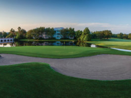wdw golf