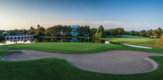wdw golf
