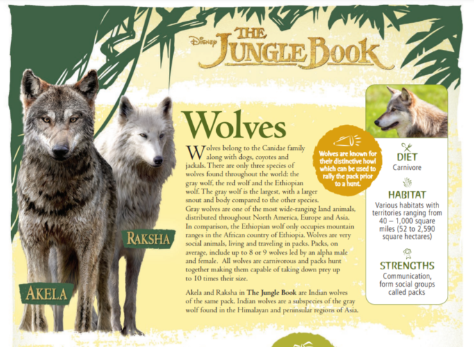 Your Kids can Learn from Home with Disney Nature 8