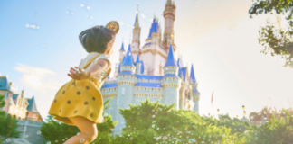 disney world vacation