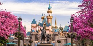 disneyland resort 1