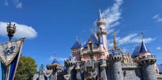disneyland castle scaled