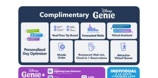 disney genie