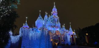 dlr holidays