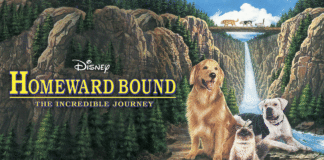 Homeward Bound