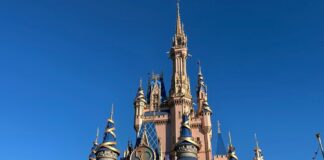 Stress Free Disney Vacation