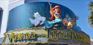 rides and attractions