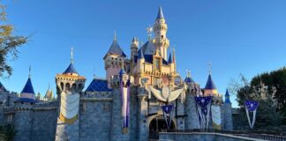 Top 23 Disney