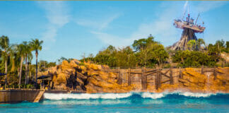 typhoon lagoon wave pool
