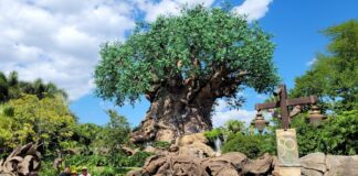 Animal Kingdom