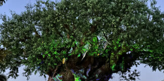 Airport Cover Tree of Life