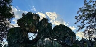 Lands at Disney World