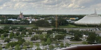 Non-Park Things to do at Disney