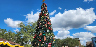 Disney Springs