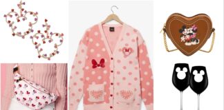 Minnie Mouse Inspired Gifts