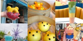 Hong Kong Disneyland Resort