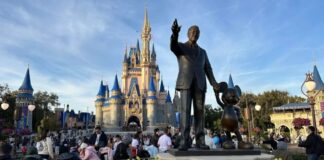 walt disney world