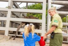 Disney's Animal Kingdom