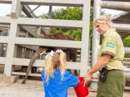 Disney's Animal Kingdom
