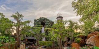bayou adventure
