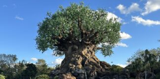 animal kingdom