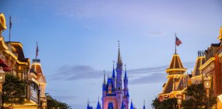 wdw castle