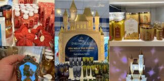 Disney Princess Collection by Bath and Body Works
