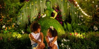 flower garden