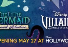 Summer 2025 at Hollywood Studios