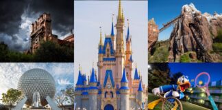 Walt Disney World Theme Park and Resorts