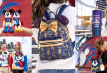 Disney Destiny Merchandise Collections