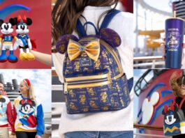 Disney Destiny Merchandise Collections