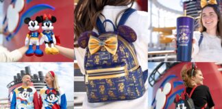 Disney Destiny Merchandise Collections