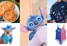 Stitch Merch