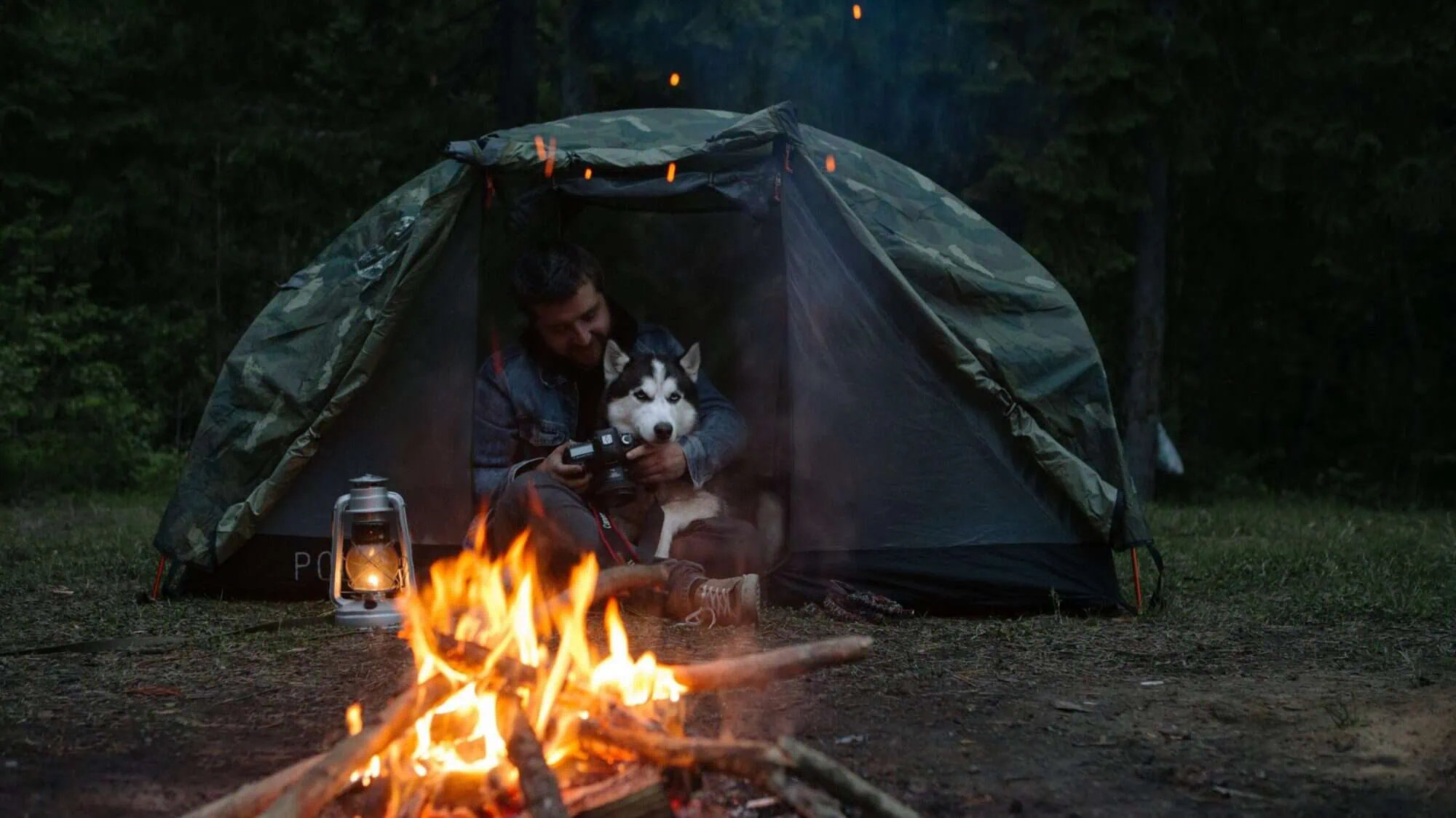 Dog at campground