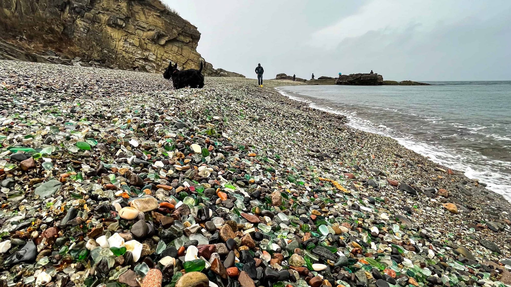 dog walking on the glass beach