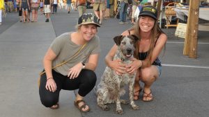 Dog friday night downtown