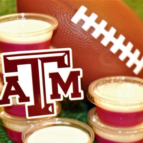 Jello Shots every TRUE Texas A&M fan needs to try!