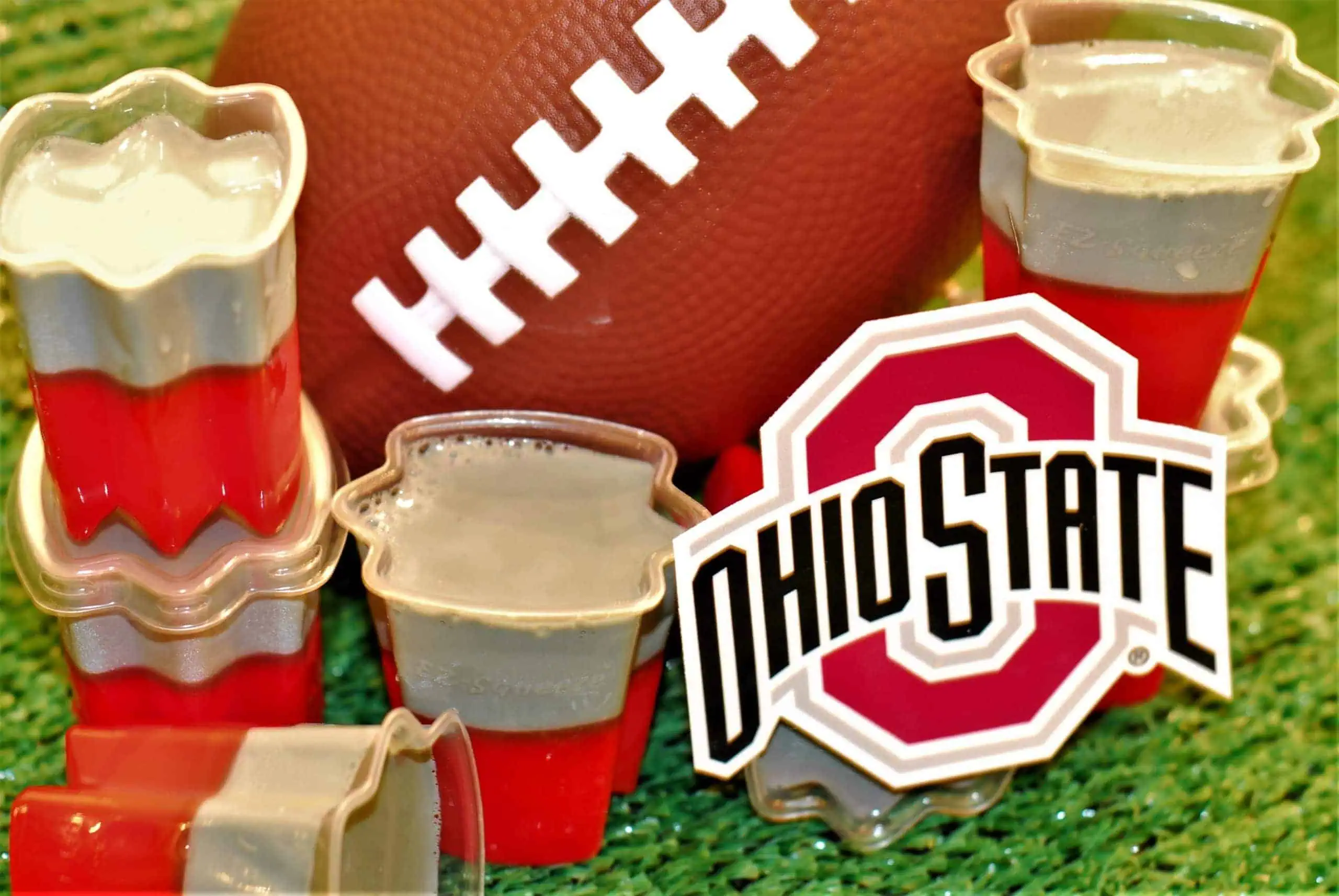 Jello Shots that every TRUE Ohio State Buckeyes fan needs to try!