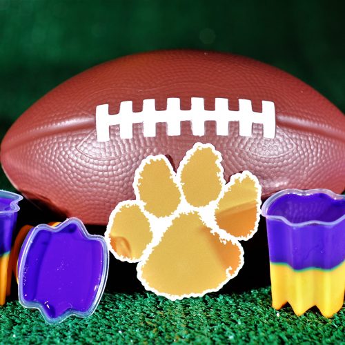 Jello Shots that every TRUE Clemson Tiger fan needs to try!