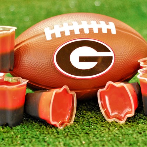 Jello Shots that every TRUE Georgia Bulldogs fan needs to try!