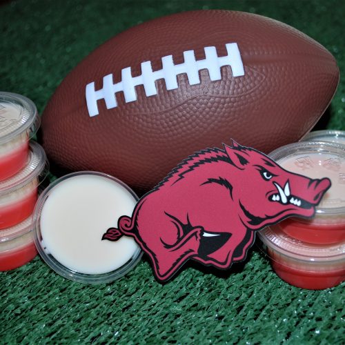 Jello Shots every TRUE Arkansas Razorbacks fan needs to try!