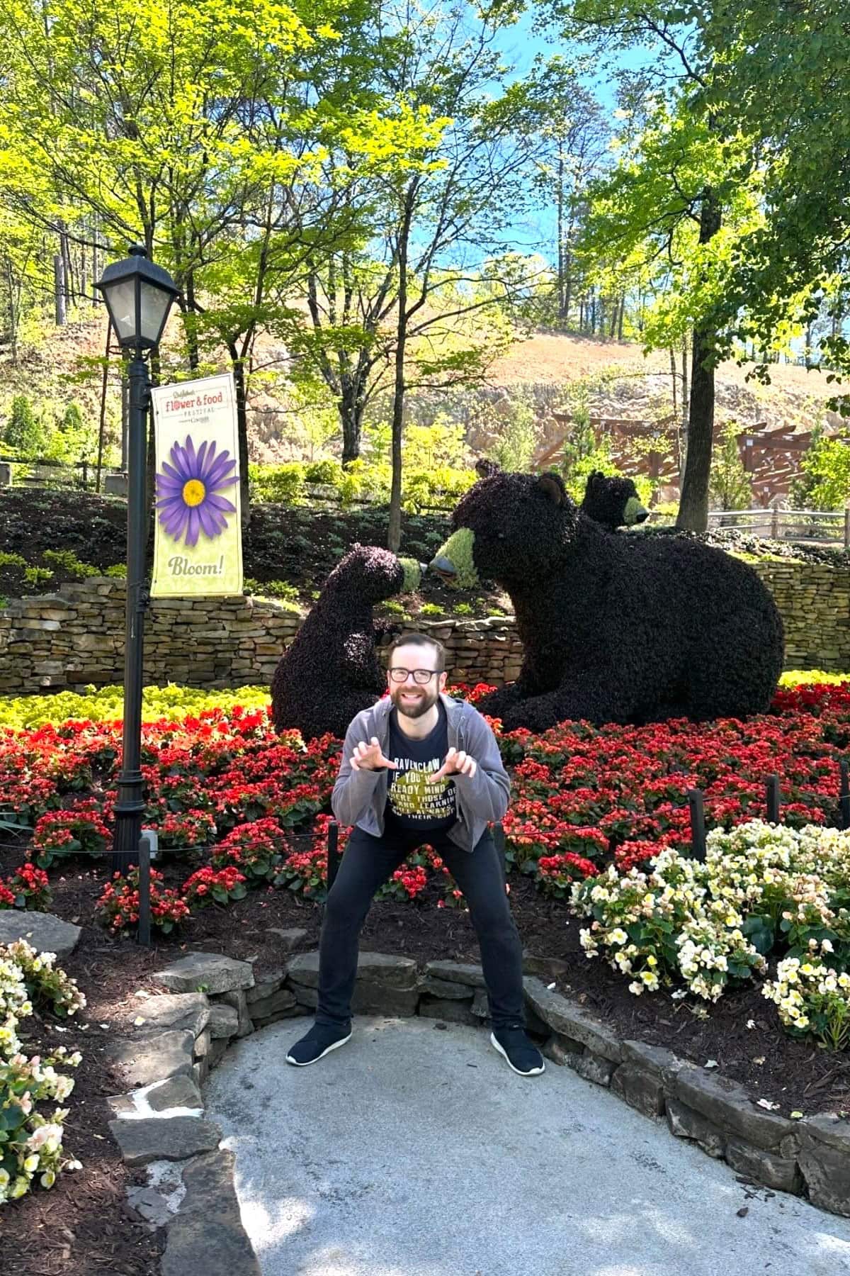 Wild Bears, oh my!
