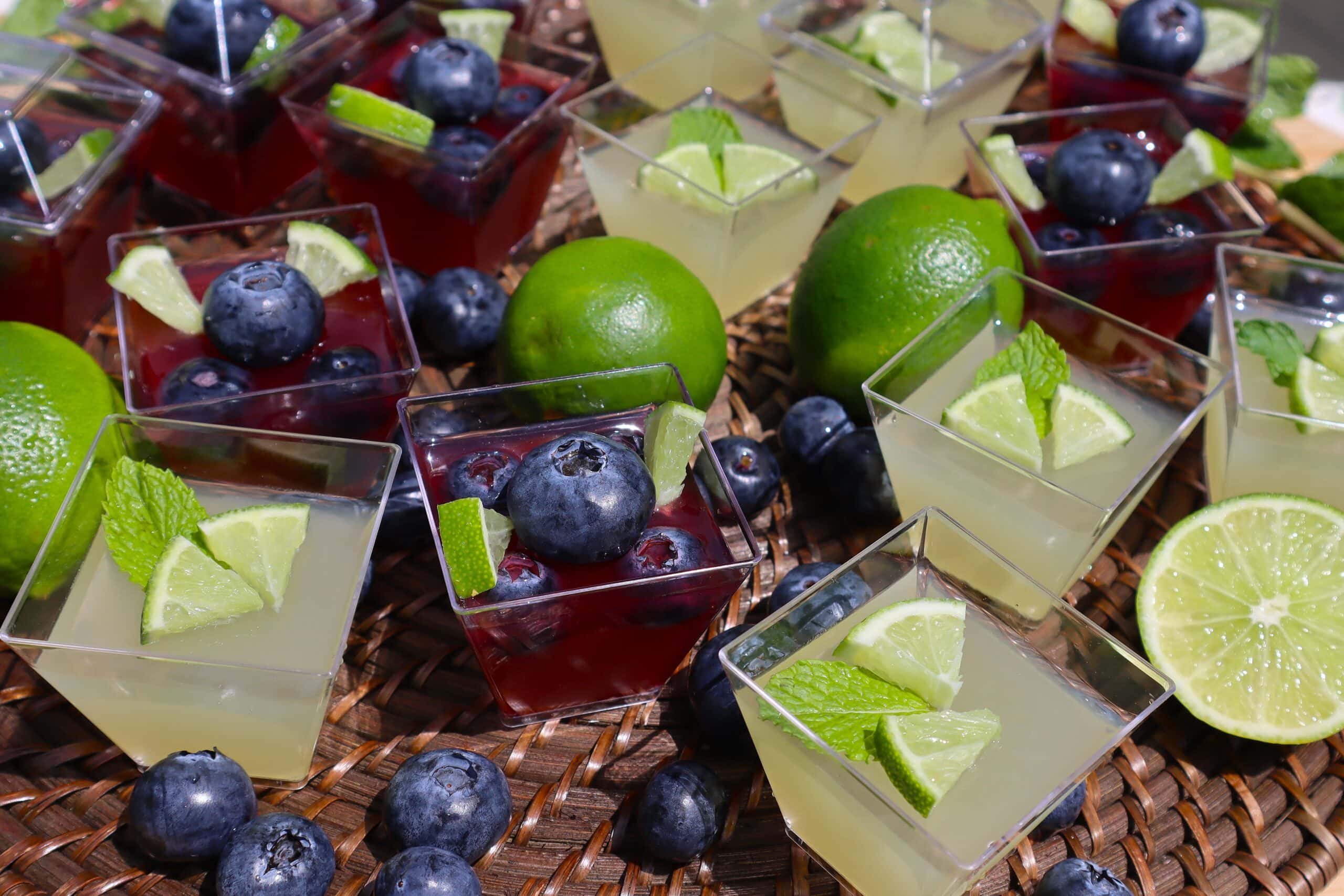 Mojito Jello Shots - An Awesome Twist to Your Favorite Cocktail!