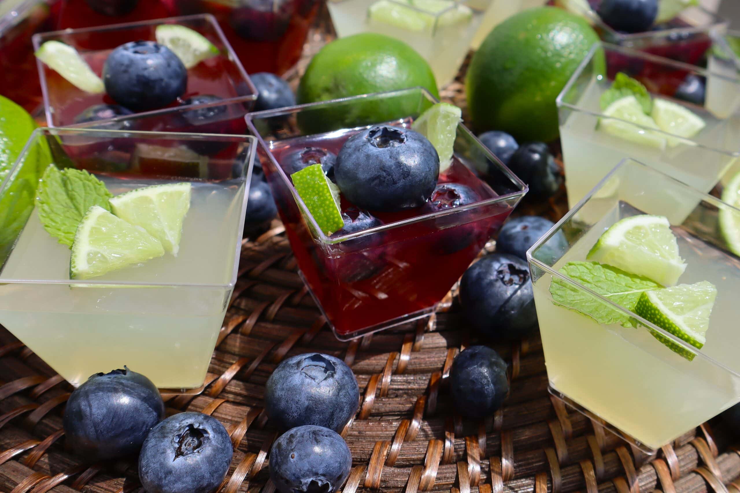Mojito Jello Shots - An Awesome Twist to Your Favorite Cocktail!