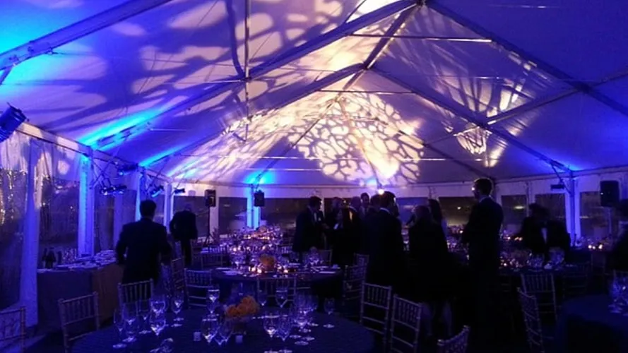Draping rentals