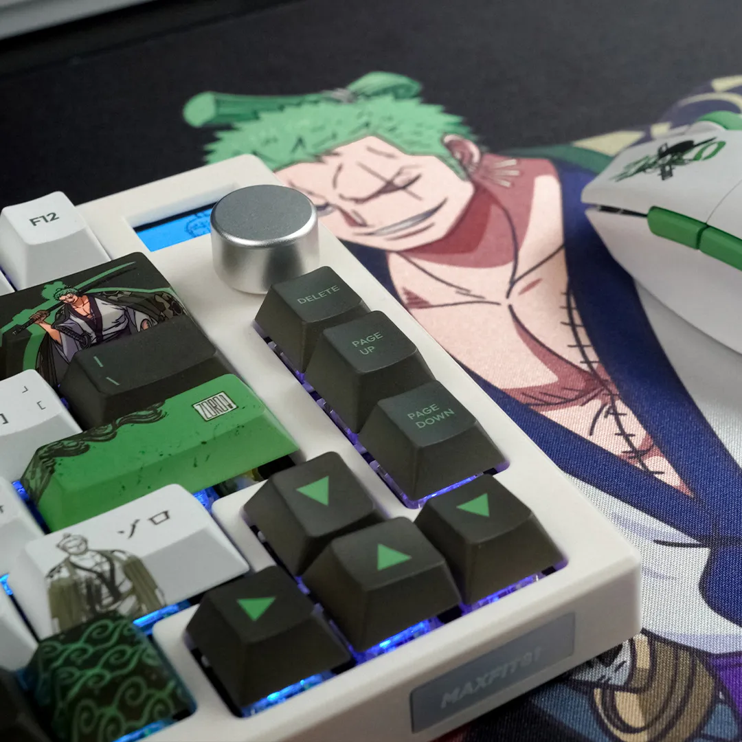 One Piece Zoro